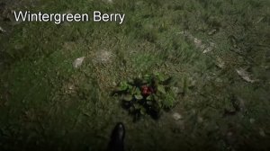 Red Dead Redemption 2 - All Food and Drinks