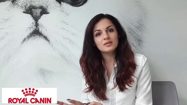 "Есть ли разница между сухими и влажными диетами Royal Canin Urinary?" смотреть онлайн