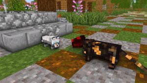 Monster School : Bad SUPER DOG vs Good SUPER CAT - Minecraft Animation