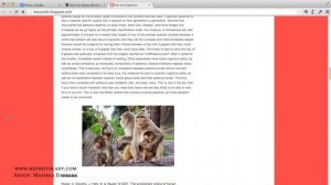 Как найти фотографию в интернете