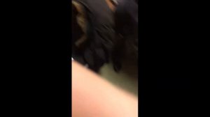 Покупка грязевой резины Форвард Сафари 540