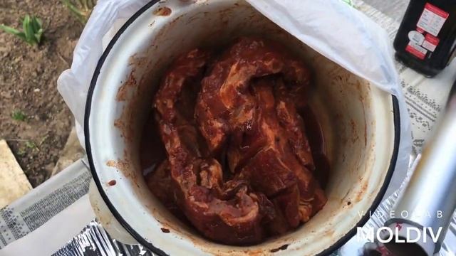 Ребрышки на мангале. Как приготовить свиные ребра на мангале