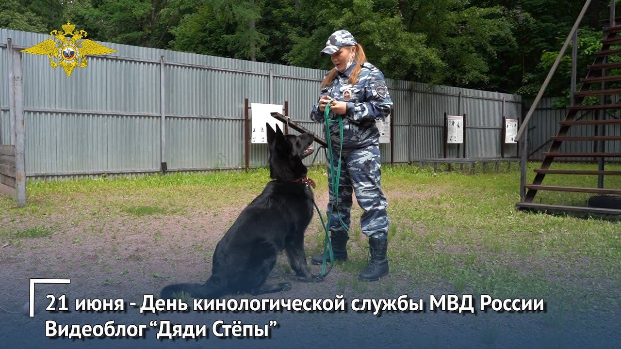 21 июня - День кинологической службы. Видеоблог "Дяди Стёпы".