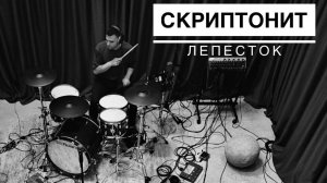 Скриптонит Feat Сестры - Лепесток | Drum cover