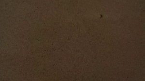 White Fox Music x Константин Лем - Будто бы