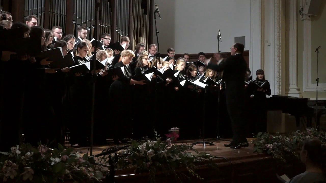 20112017 Е  ПОДГАЙЦ ПОСЛЕ ПРАЗДНИКА ОДИНОЧЕСТВО