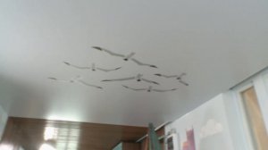 ФАЗЕНДА ЛАЙФ. ГОСТИНАЯ «КАЮТ-КОМПАНИЯ». ВЕДУЩИЙ – ТИМОФЕЙ ПРОНЬКИН. ДИЗАЙНЕР – ВИТАЛИЯ РОМАНОВСКАЯ