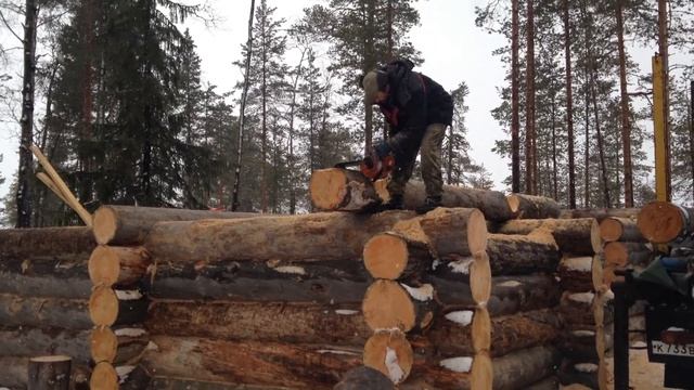 Строительство сруба из сухарника