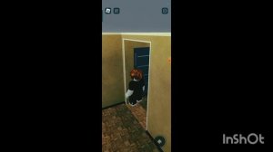 лифты и домофон