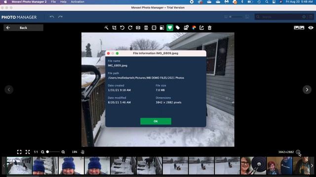 Using Movavi Photo Manager to Organize Digital Photos