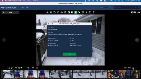 Using Movavi Photo Manager to Organize Digital Photos