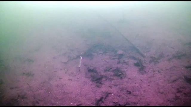 Форель атакует, но что-то пошло не так... смотреть онлайн