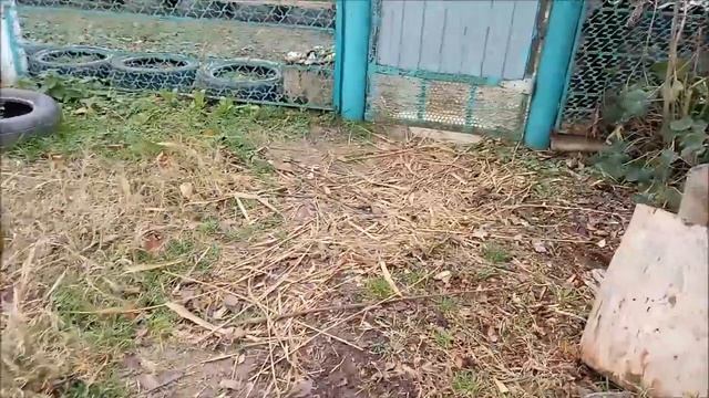 Тростниковые дорожки - бесплатно, экологично, не долговечно/Новая Жизнь в деревне смотреть онлайн