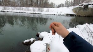 Микроджиг на окуня в феврале. Щука на ультралайт. Perch, pike. Graphiteleader Finezza Neo 762UL-T