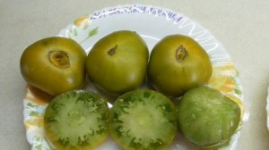 Томат Зеленая тайна личинки. Как выглядит рассада и спелые плоды. Ольга Чернова.