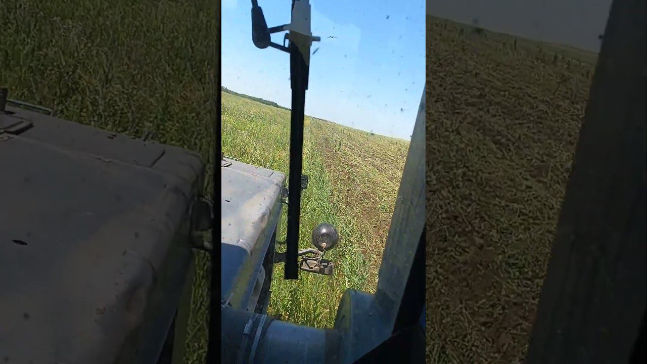 18 июля 2024 г. смотреть онлайн