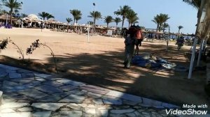 Какое море самое чистое ? Интересные факты о Красном море ! Red sea ?