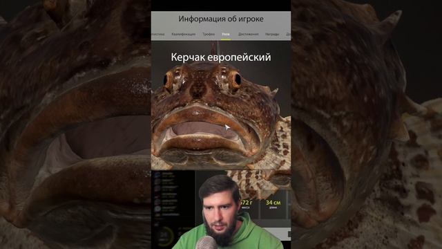 ?СТРИМЕР БУЛЛИТ РЫБУ ЗА ВНЕШНОСТЬ? #русскаярыбалка4  #рр4  #russianfishing4