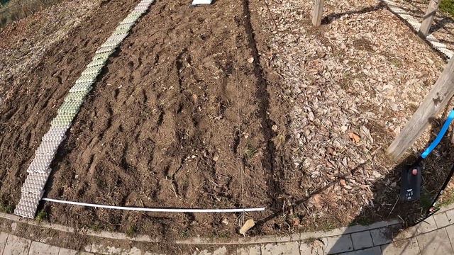 Jak siać marchewkę, pietruszkę i buraki? Przygotowuję grządkę i wyznaczam ścieżki wytłaczankami смотреть онлайн