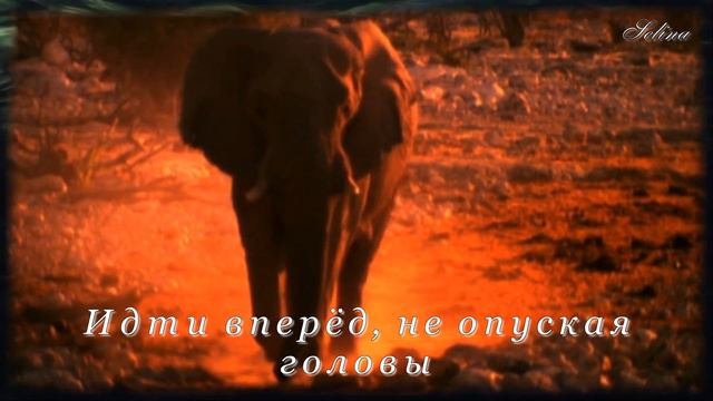 Давайте Жить, Любить и Удивляться...