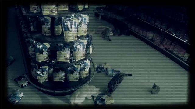 Tierischer Überfall im Supermarkt – Der Raubzug von Felix Eleven смотреть онлайн