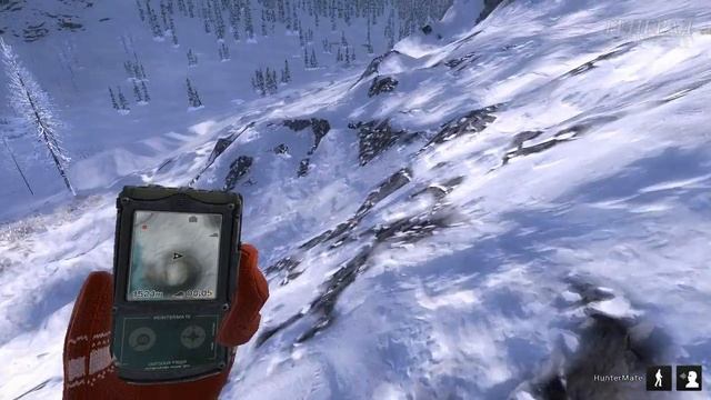 Баран Далла: красивая, но кривая реализация. theHunter Classic #3 смотреть онлайн