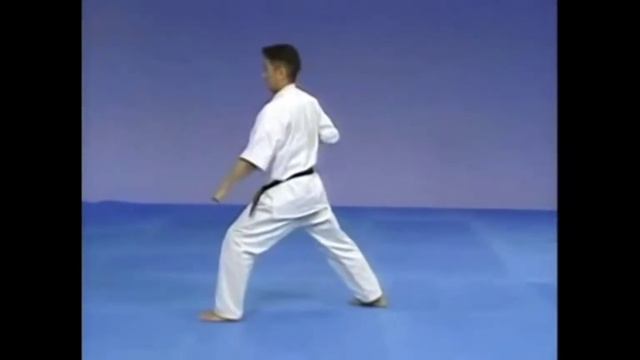 Каратэ Киокушинкай: Ката №2 - Тайкиоку Соно Ни | Kyokushin Karate: Kata - Taikyoku Sono Ni смотреть онлайн