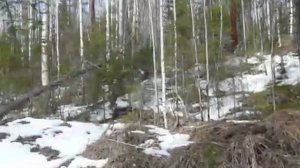 Ориентирование в кризисной ситуации. По экспозиции склона