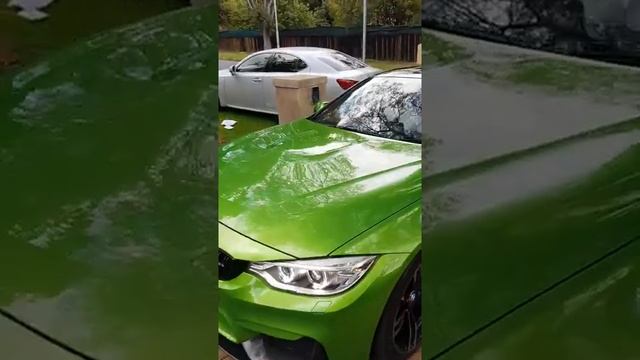 Kwesta 's New BMW M4 Java Green makes an Insane Beast Roar