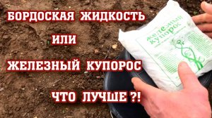Бордоская жидкость или железный купорос? Что лучше?