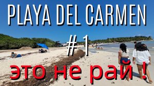 Плайя дель Кармен ! Playa del Carmen. Мексика ч.1. Собаки, пляжи "72", "88" и Punta Esmeralda