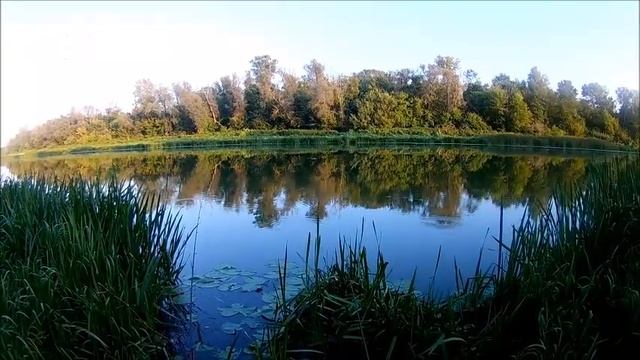 рыбалка 24.08.2019 года на Дону в Лискинском районе в районе Нижнего Икорца смотреть онлайн