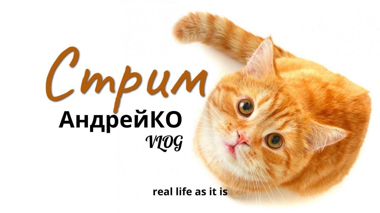 Вечерняя трансляция Андрей&KO.