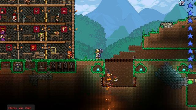 Me killing my nurse Terraria смотреть онлайн