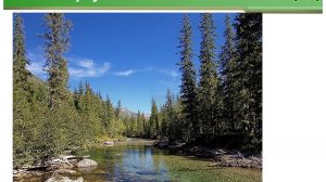 7 самых необычных заповедников России