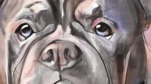 Digital Painting Dog - portrait Ammy