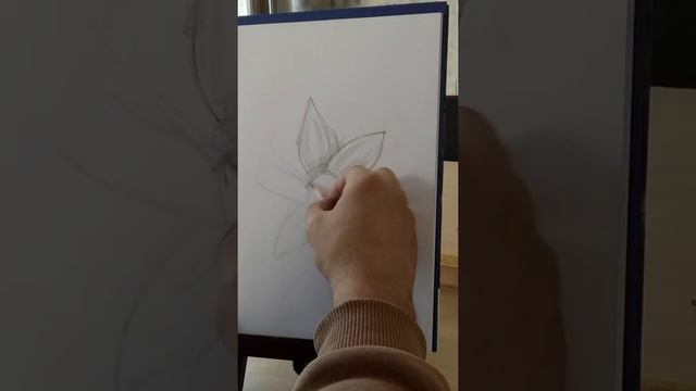 нарциссы смотреть онлайн