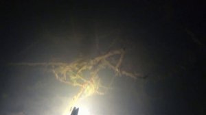 Подводная охота в Калужской области.