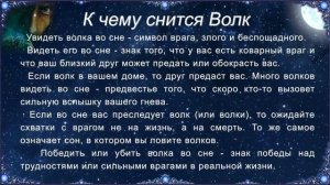 К чему снится Волк (Сонник)