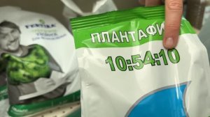 Уход за пионами весной / Сад Ворошиловой