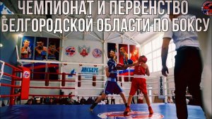 Чемпионат и первенство Белгородской области по боксу 2024 / 02 #video #live #sport #boxing