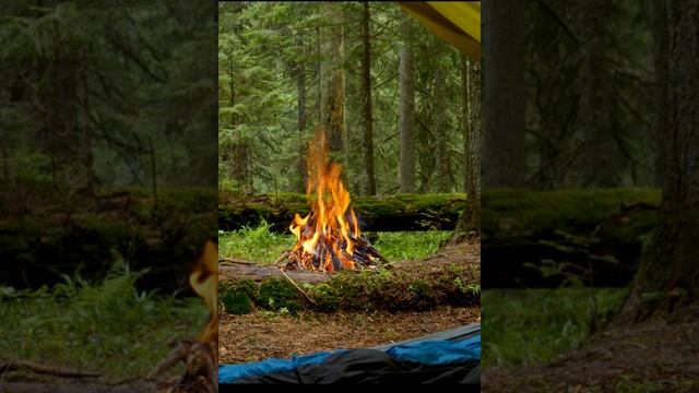 #shorts_ЦЫГАНСКОЕ_КОЛДОВСТВО_ФАКЕЛ_ГЕКАТЫ_ЛОЛИТА_148_См_61_https://rutube.ru/video/75eac5cbc02