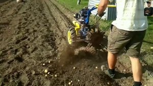КАК КОПАЮТ КАРТОФЕЛЬ МОТОБЛОКОМ В РАЗНЫХ СТРАНАХ #4 /HARVESTING POTATOES IN DIFFERENT COUNTRIES