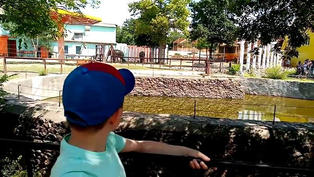 Самий лучший зоопарк смотреть онлайн