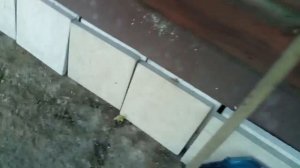 Самому делать тротуарную плитку или покупать?