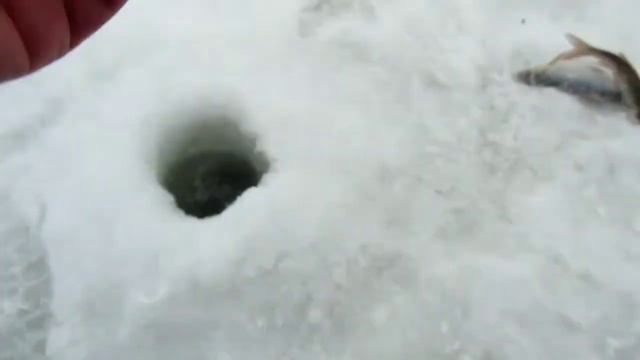 СОРОГА НА ДРОБИНКУ!! РЫБАЛКА НА РЕКЕ В МЕТЕЛЬ!! смотреть онлайн