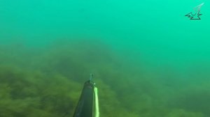 Холодный май 2014-го. ч.5. М Утриш.Подводная охота.