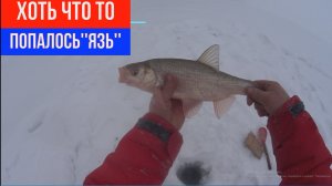 РЫБАЛКА2023.Рыбалка с ночевками на льду.Ловля на комбайн.ЛЕЩ.Рыбацкие будни....