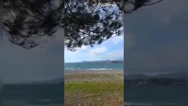Абхазия. Пляж Пицунда. Какая погода  на пляже море  сегодня 22 ноября 2023
