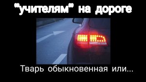 Твари на дороге / Рейс Владимир Пермь/ Работа в Итеко